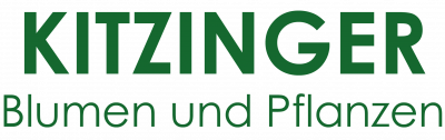 Kitzinger Blumen und Pflanzen