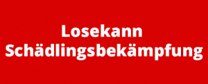 Losekann